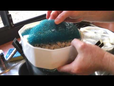 FIFO.fish vid 5 – Aqua One canister filter service & water change