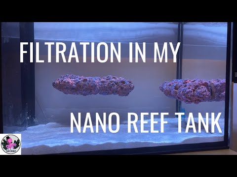 Filtration In My Nano Reef Tank | Innovative Marine Nuvo Fusion 14 Gallon Peninsula