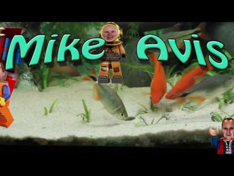 First impression and product review of the Aquael ASAP Filter 700 fish pump