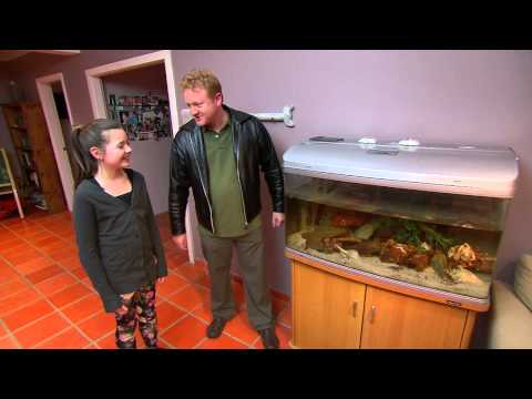 Fish Tales AquaOne Aquarium UPGRADE