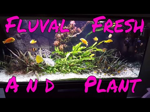 Fish Unboxing, Again! And Fluval Fresh And Plant 2.0 59W. The Best Aquarium Led Light 2017!