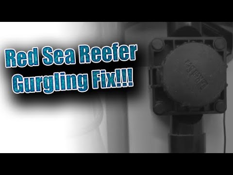 Fix the Red Sea Reefer gurgling drain pipe issue!