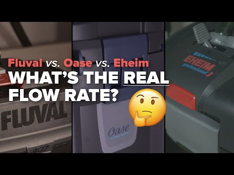 Fluval 07 vs Oase Biomaster vs Eheim Professional Flow Rate Test Comparison | Part 1