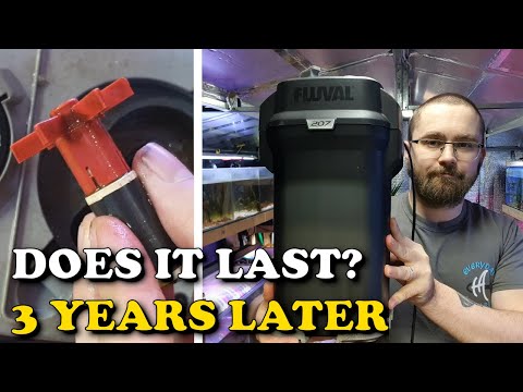 FLUVAL 207 FILTER After 3 YEARS | Are Fluval Filters Good Value & Long Lasting? | 107 207 307 407