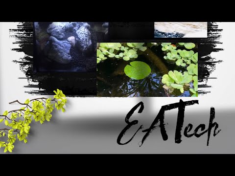 Fluval 20g CO2 kit – Super easy step by step setup.