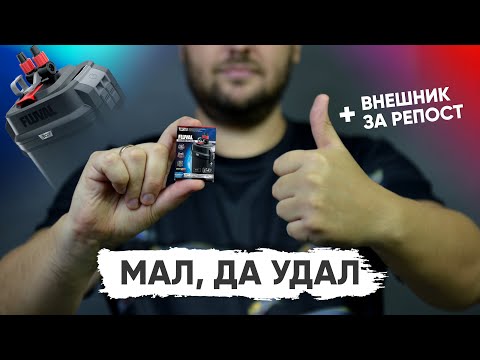 Fluval 307 – обзор и розыгрыш внешнего фильтра