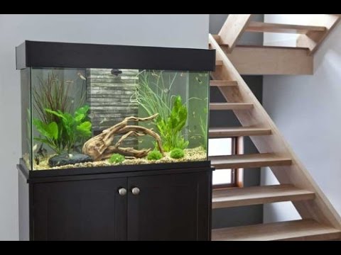Fluval Accent Aquarium Setup Guide