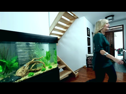 Fluval Accent Aquarium
