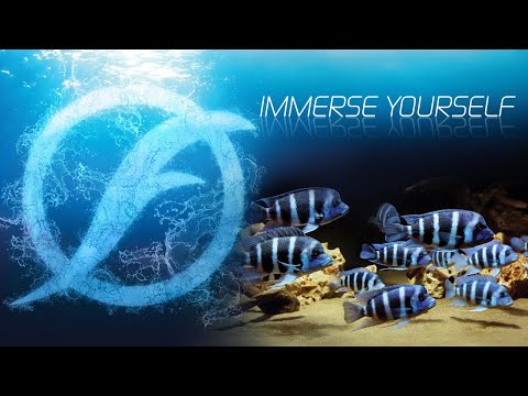 Fluval Aquatics | Immerse Yourself