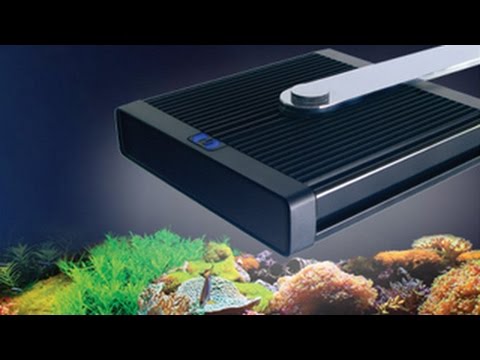 Fluval Aura, Halo & Nano Desktop Aquarium LEDs