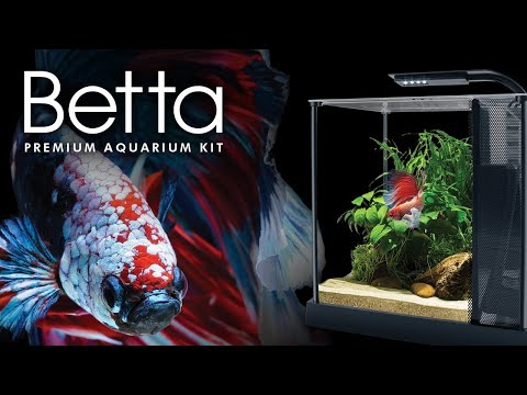 Fluval Betta Aquarium Unboxing