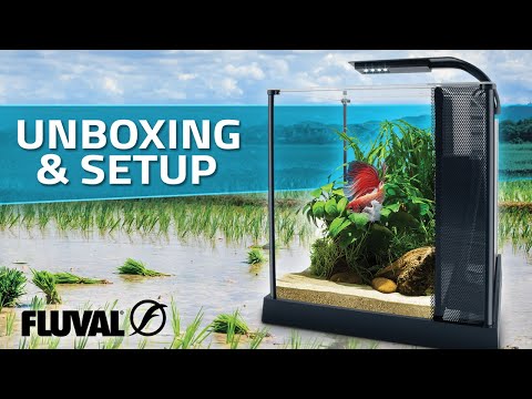 Fluval Betta Kit | Unboxing & Setup