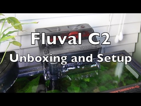 Fluval C2 Unboxing and Setup