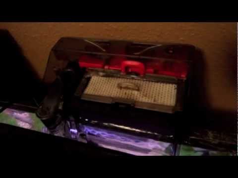 Fluval C3 Power Filter Review