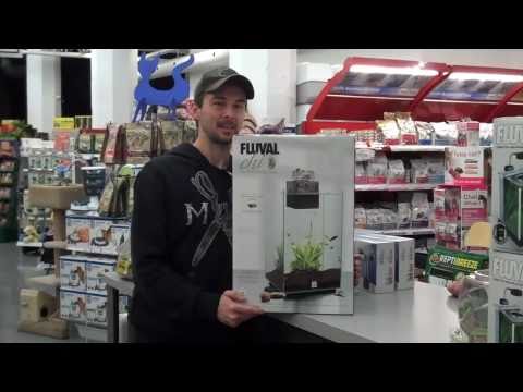 Fluval Chi 6.6 Gallon Aquarium Contest Winner 01/31/11