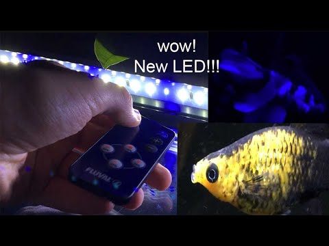 FLUVAL ECO BRIGHT LED STRIP LIGHTS (REVIEW)