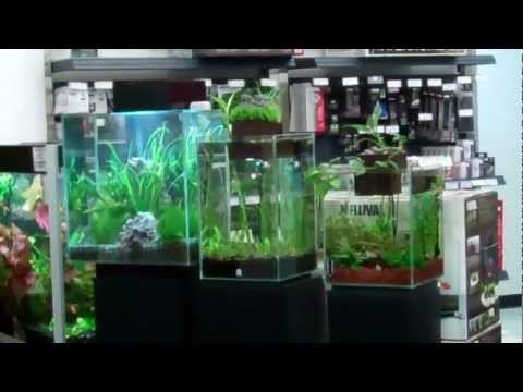 Fluval Edge 12 G Fluval Edge 6 G Fluval Chi 6.6 G Fluval Chi 5 G Fluval Ebi 8 G Fluval Flora 8 G