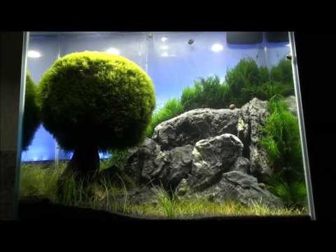 Fluval Edge 46er