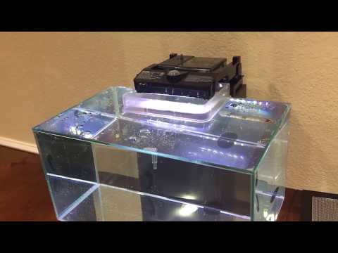 Fluval Edge Aquarium Review