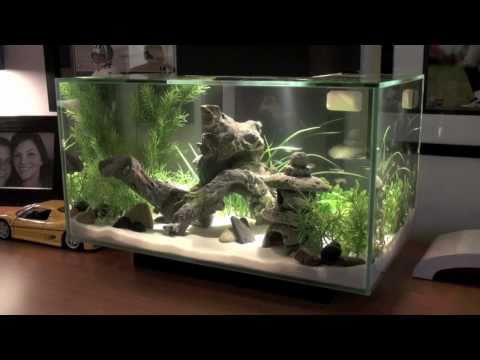 Fluval EDGE Fish Tank [HD]
