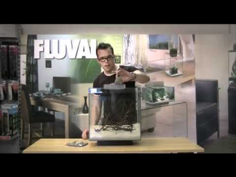 Fluval Edge – New with LED light, day and night
