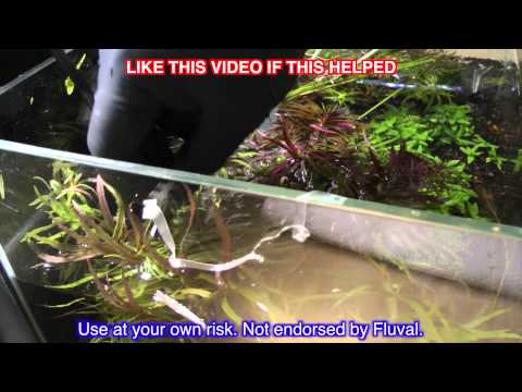 FLUVAL EDGE TOP REMOVAL & SHRIMP