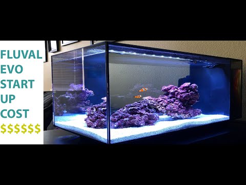 Fluval Evo 13.5 Nano Reef Start Up Cost