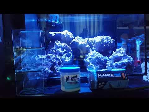 Fluval Evo 13.5 set up