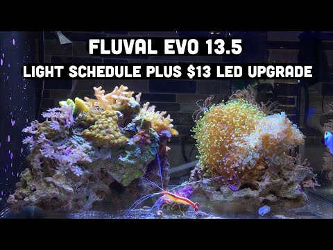 Fluval Evo 13.5 stock light schedule plus $13 LED upgrade!!!
