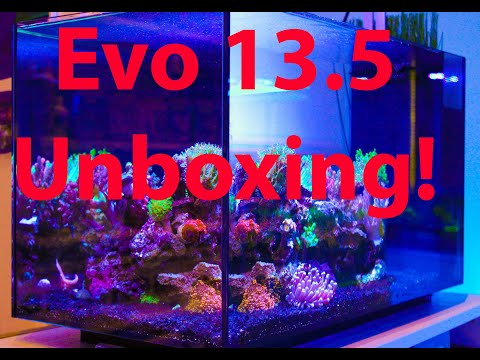 Fluval Evo 13.5 unboxing and set up