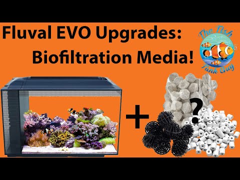 Fluval EVO 13.5g/52l Upgrades – Biofiltration Media!