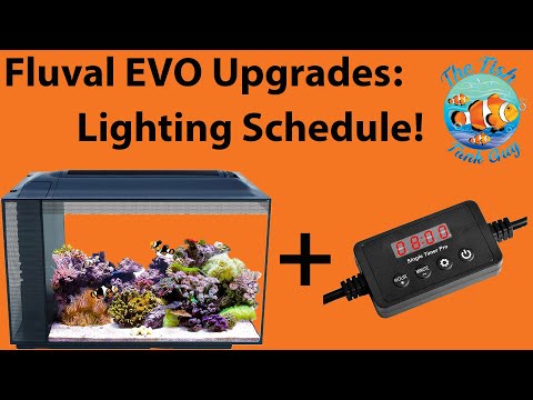 Fluval EVO 13.5g/52l Upgrades – Lighting Schedule!