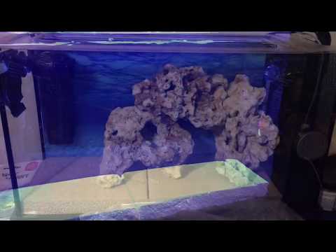 Fluval Evo 5 build – Part 1
