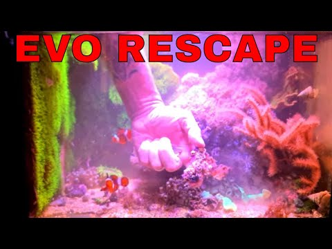 fluval Evo change Around