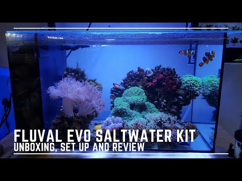 Saltwater aquarium best sale kits