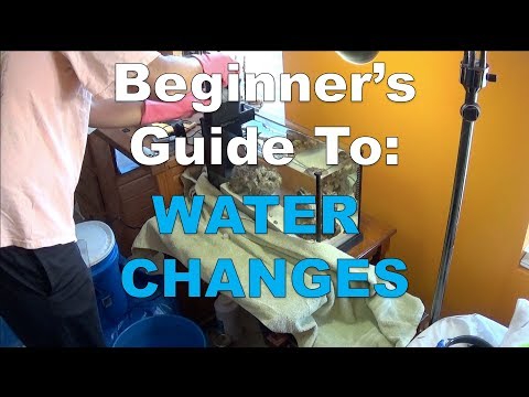 Fluval Evo V Nano Reef – Beginner's Guide to Water Changes *Thorough*