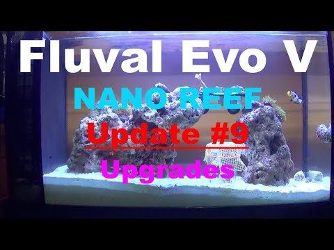 Fluval Evo V Nano Reef Update #9 – Pump and Filtration Upgrades