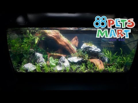 Fluval Flex 123L First Look