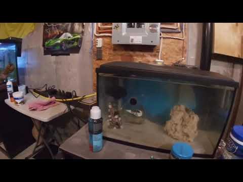 Fluval Flex 15 Gallon Unboxing & Review