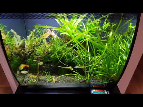 Fluval Flex 15 mod. April 1 2018