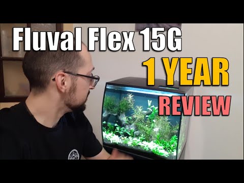 Fluval Flex 15G – 1 year review