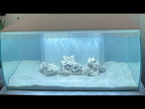 Fluval Flex 32.5 gallon – Unboxing and Setup