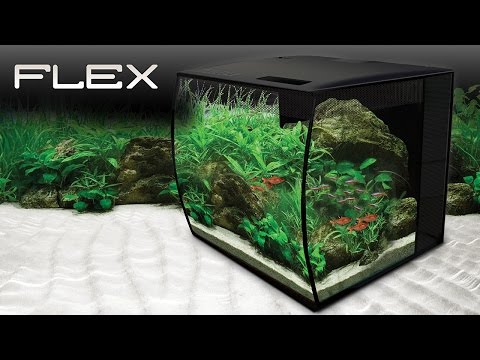 Fluval Flex 9 & 15 US Gal. Aquarium