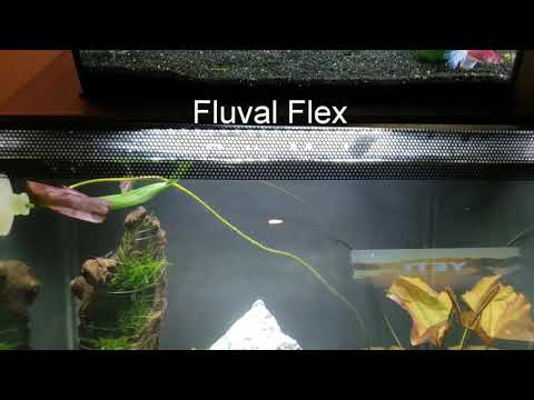 Fluval Flex Betta Mod