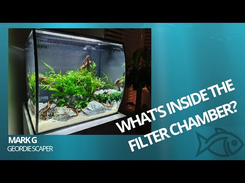FLUVAL FLEX –  FILTRATION UPGRADE AND HANDY INLET GRILL TIP 2020