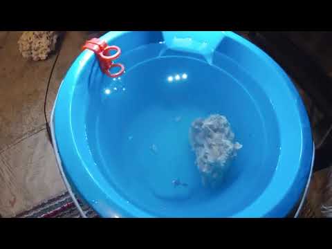 Fluval Flex saltwater setup