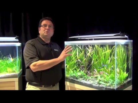 Fluval Fresh Aquariums