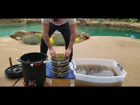 Fluval FX6 – 5 months without maintenance