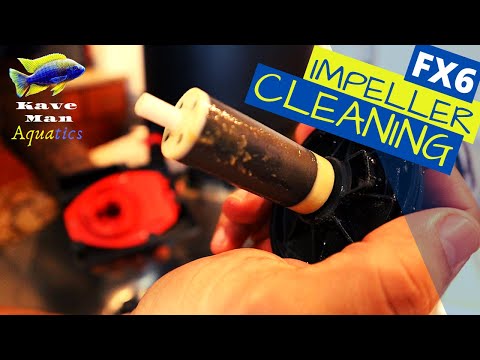 Fluval FX6 Impeller Cleaning – Quick and Easy (Plus an FX6 Hack)