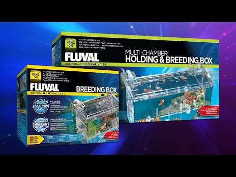 Fluval Hang-On Breeding / Holding Boxes